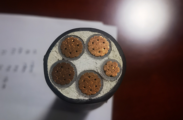 电力电缆